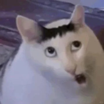 当我看到大家的男朋友颜值越来越低的时候，我就知道大家要认真了，真的要成家了。