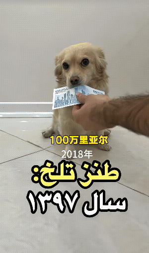 伊朗网友制作的货币贬值视频火了，他用100万里阿尔做标定物，通过购买的产品缩水来