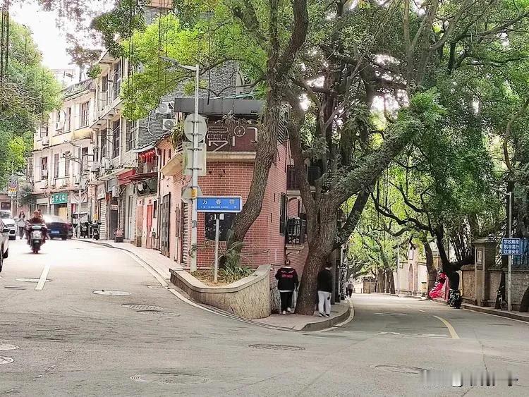 福州仓山立新路与万春巷的转角处，已然成为热闹非凡的打卡景点，许多人慕名前来，许知