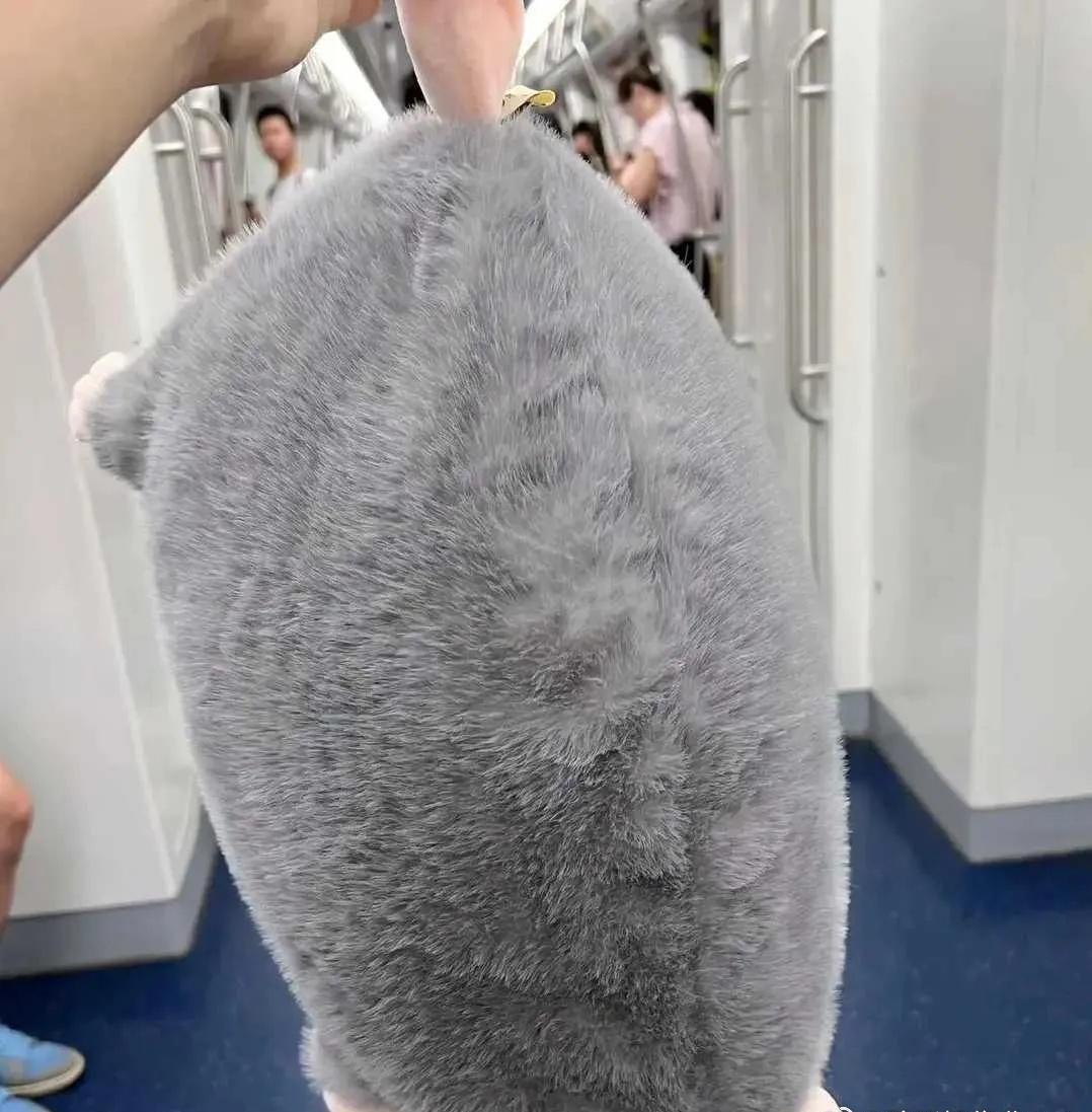 乘务员就不能过来管管吗​​​