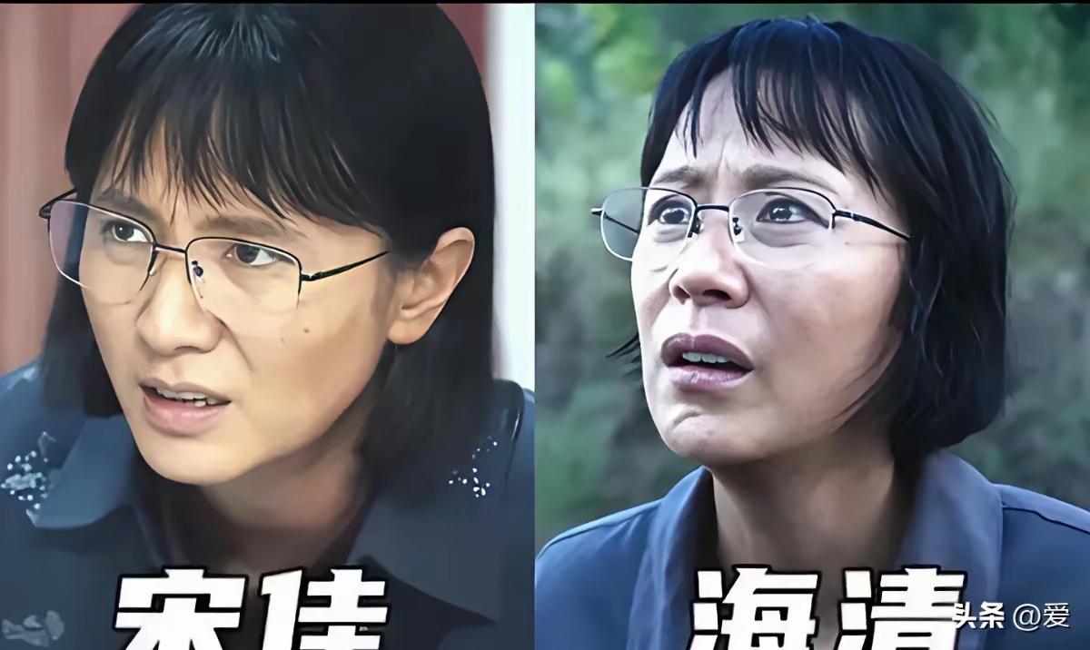 同样是演张桂梅海清饰演的张桂梅一点没有激起一点浪花而宋佳却因为张桂梅一角色
