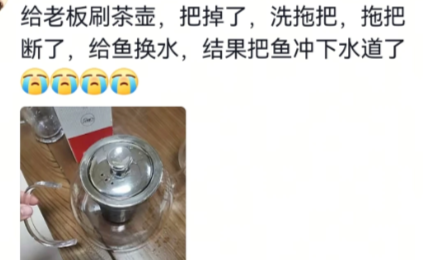给我整笑了