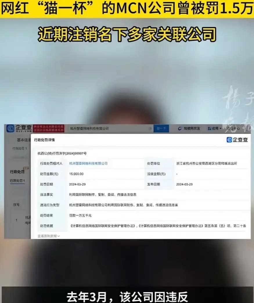 2025年春节前后，杭州网红猫一杯因为编造“秦朗巴黎丢作业”视频被全平台封号，本