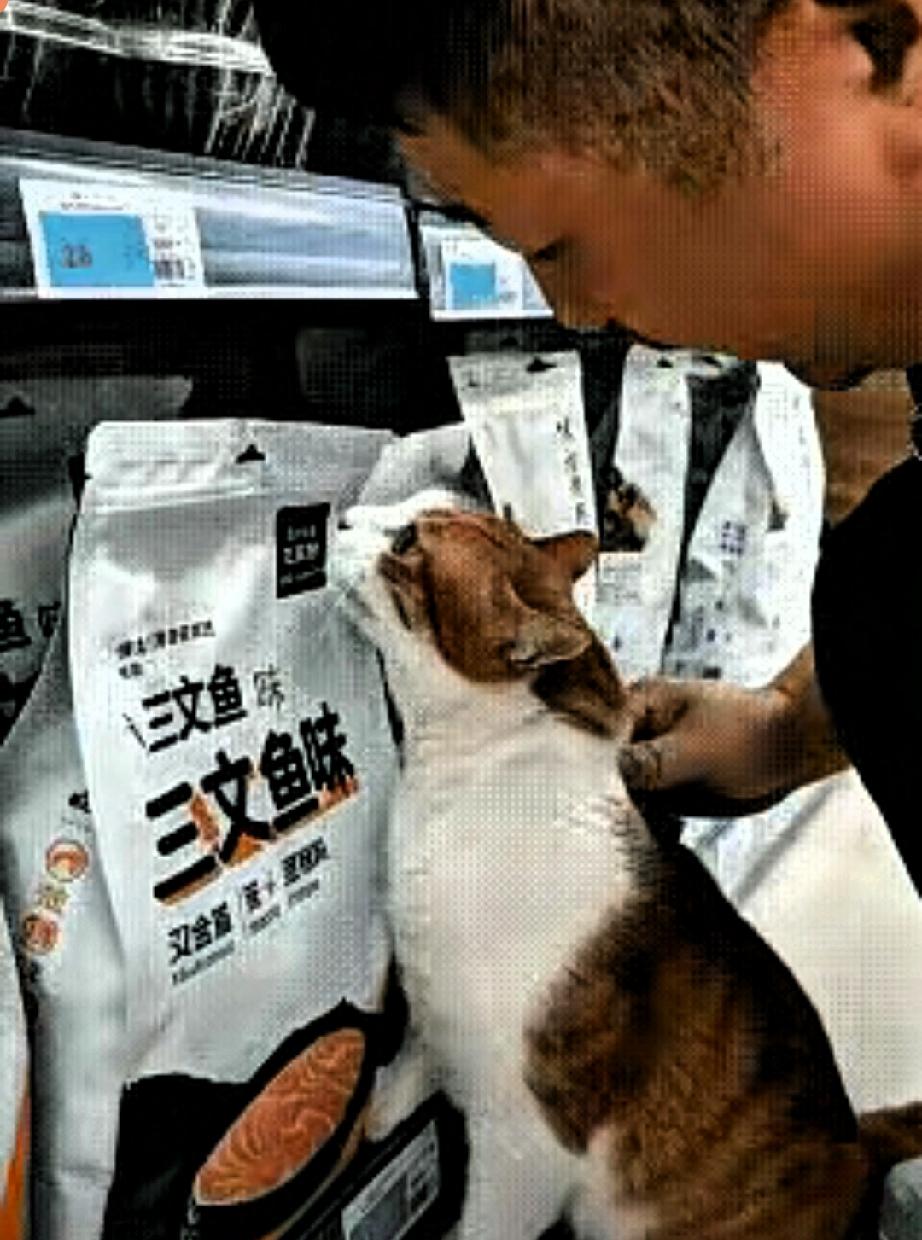 超市逛着逛着被自家猫“绑架”，这幕谁看了不笑到直不起腰！大哥本来铁了心不买猫
