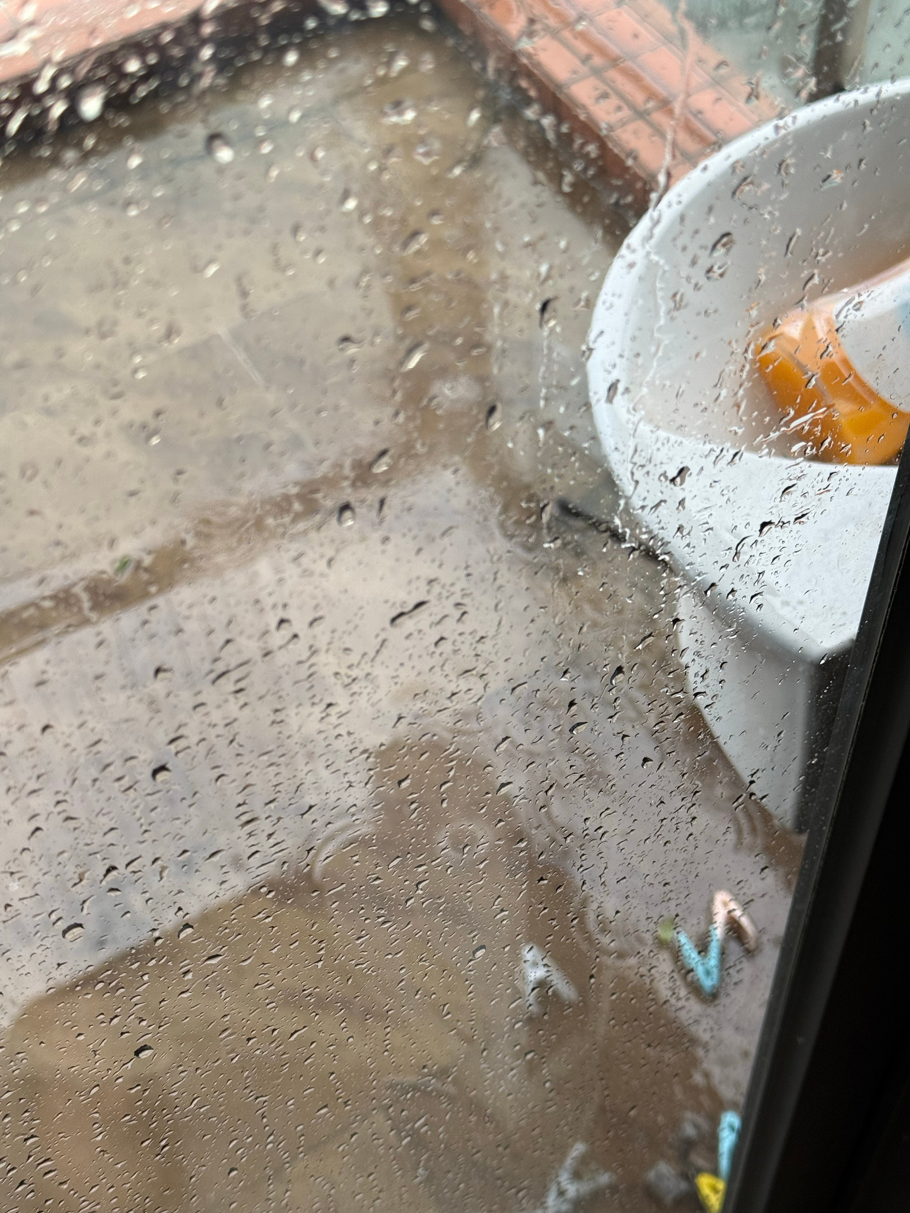 桦加沙深圳真的不要说没风啦[跪了]深圳这边只进入了10级风圈里面，目前已经开始起