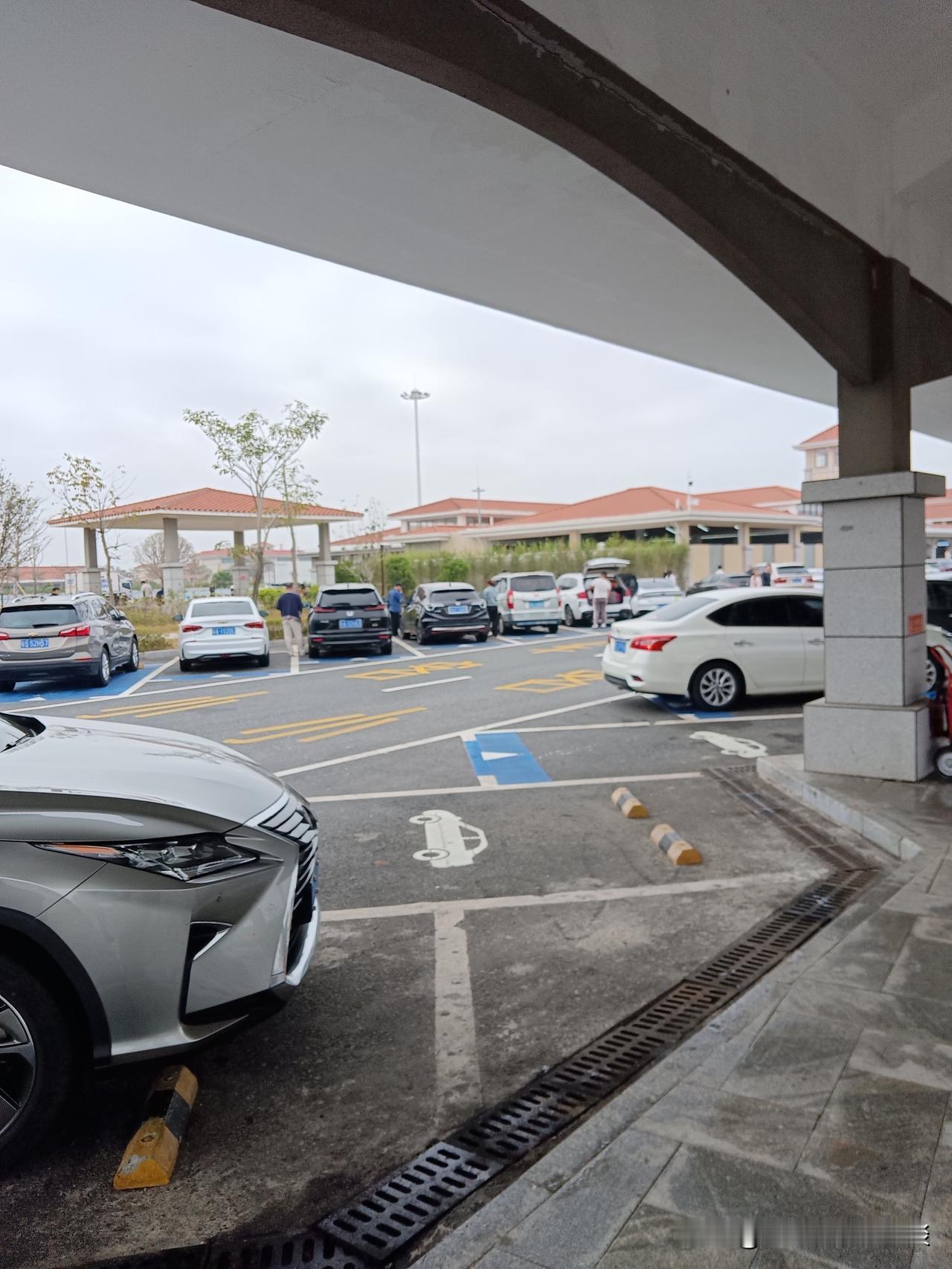 广湛高铁开通后，前往茂名、湛江方向的高速公路，果真不再堵车，十分顺畅。正常而言，