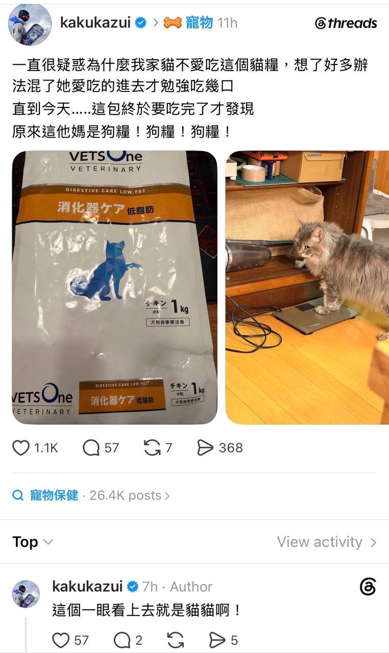 我第一眼看的也是猫猫…