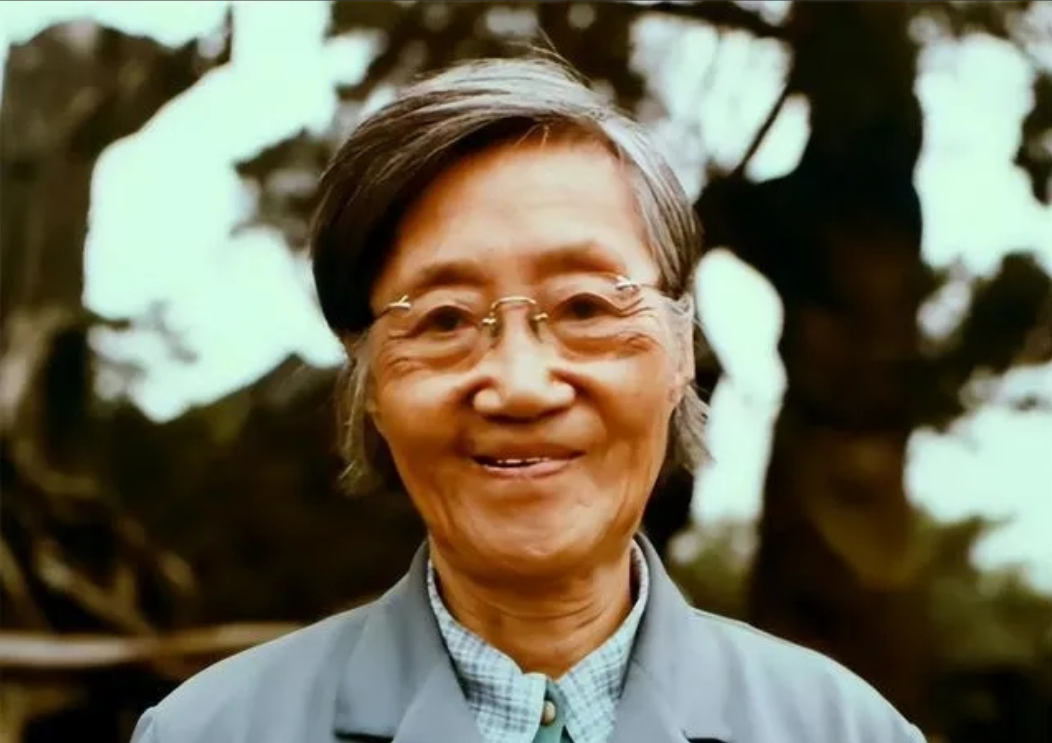 1960年，北大才女王承书狠心抛弃丈夫和孩子后不辞而别，从此音信全无。然而1