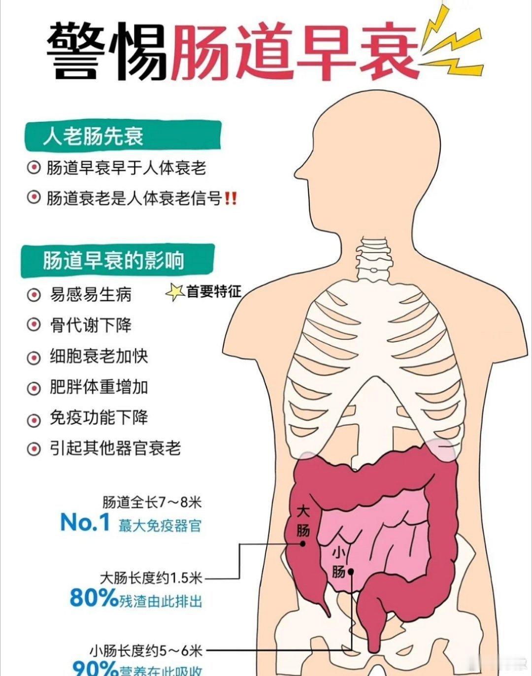 人老肠先衰‼️肠道早衰是身体衰老的信号📶俗话常讲“人老肠先衰”，现在很多研究也
