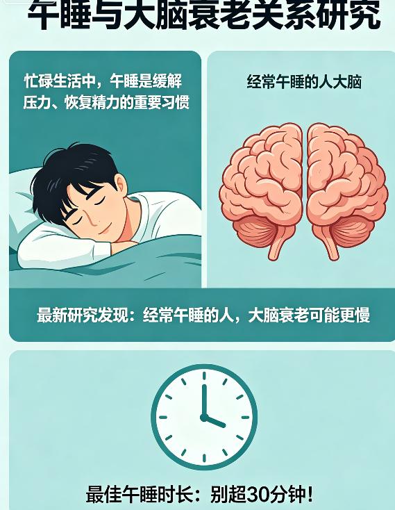 你每天中午那半小时，是在续命还是在折寿？最新脑科学研究：午睡超30分钟，大脑衰