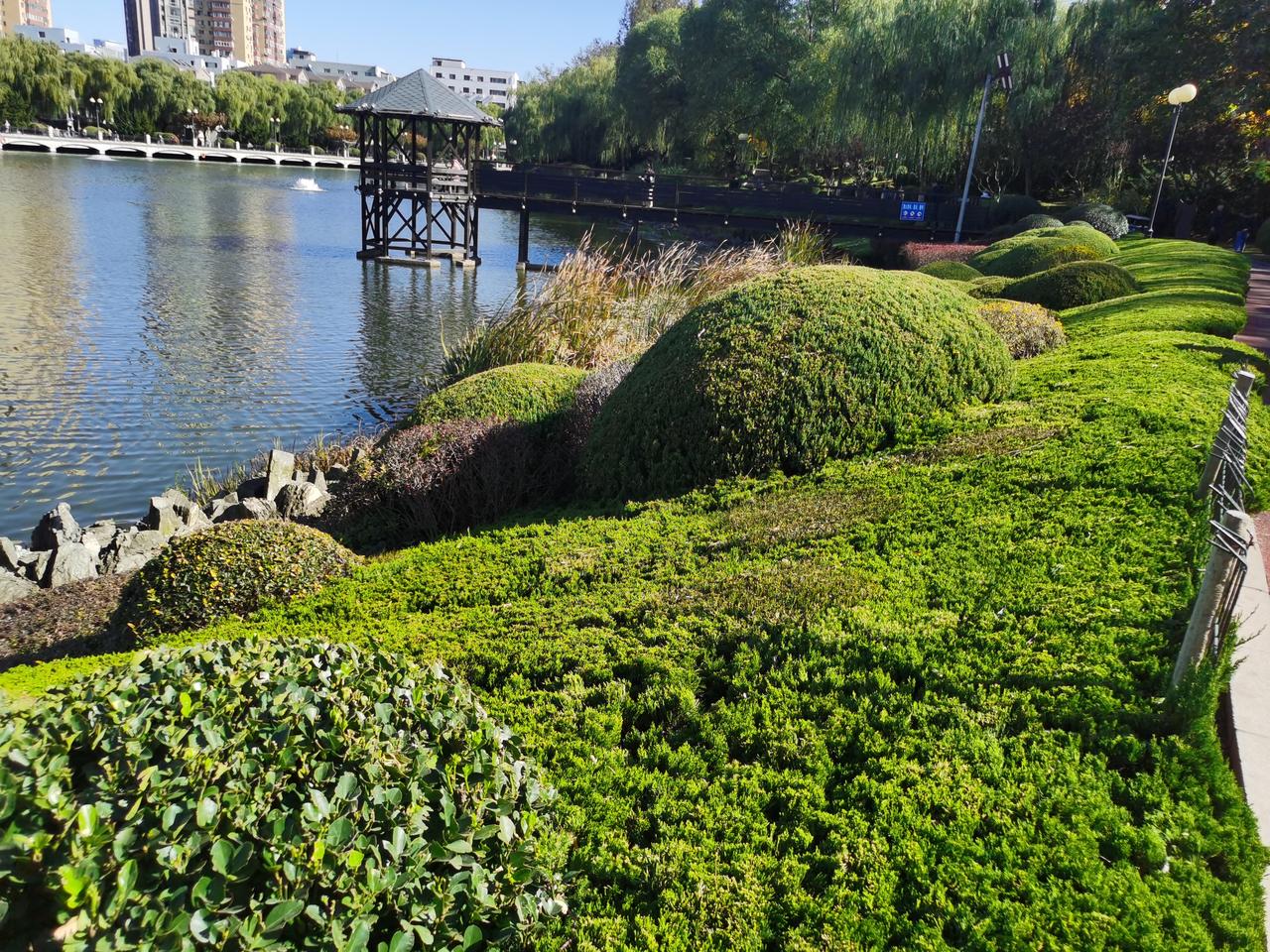 父亲和姑姑已有20多年未见面了，彼此都很想念。虽说平日里我们没少用手机视频，父