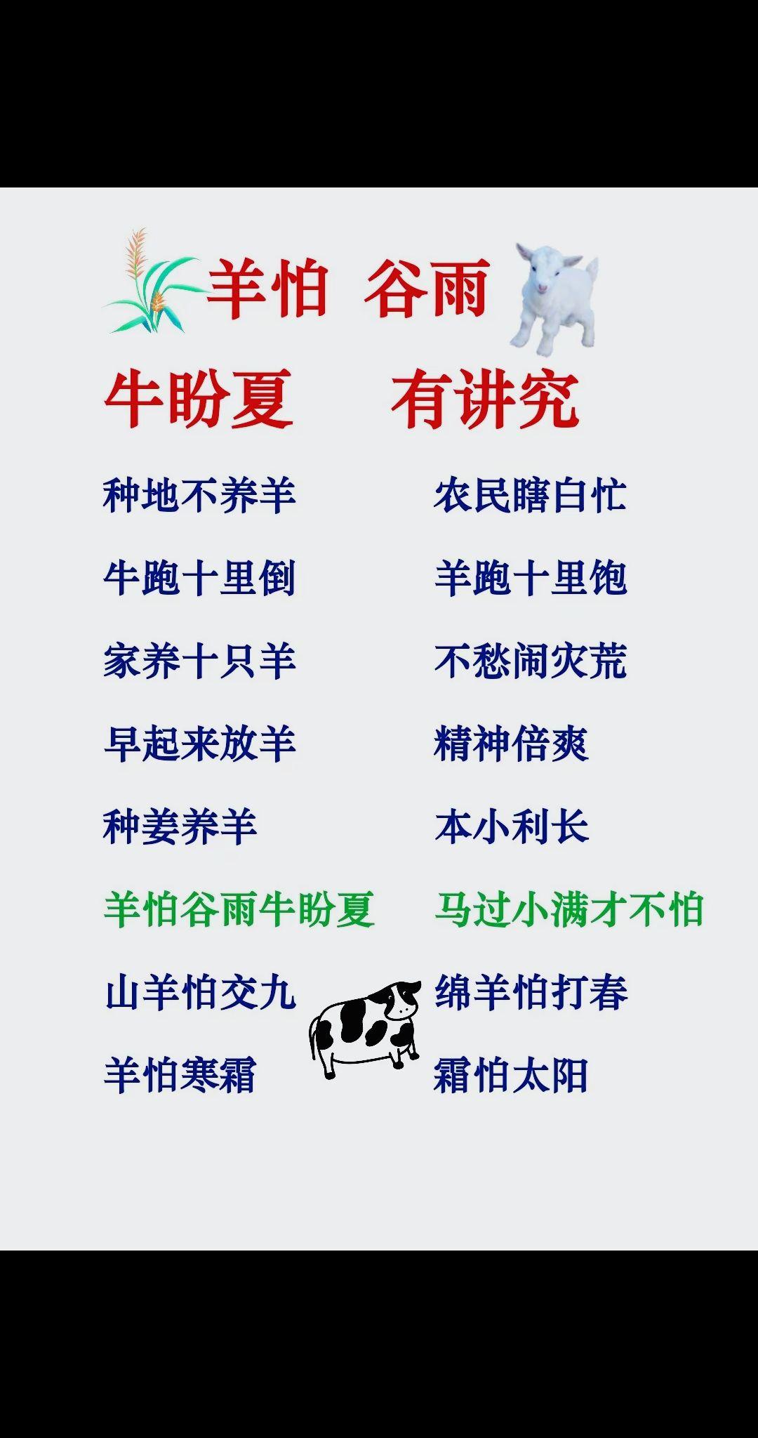 养羊人农村养羊牛羊养殖