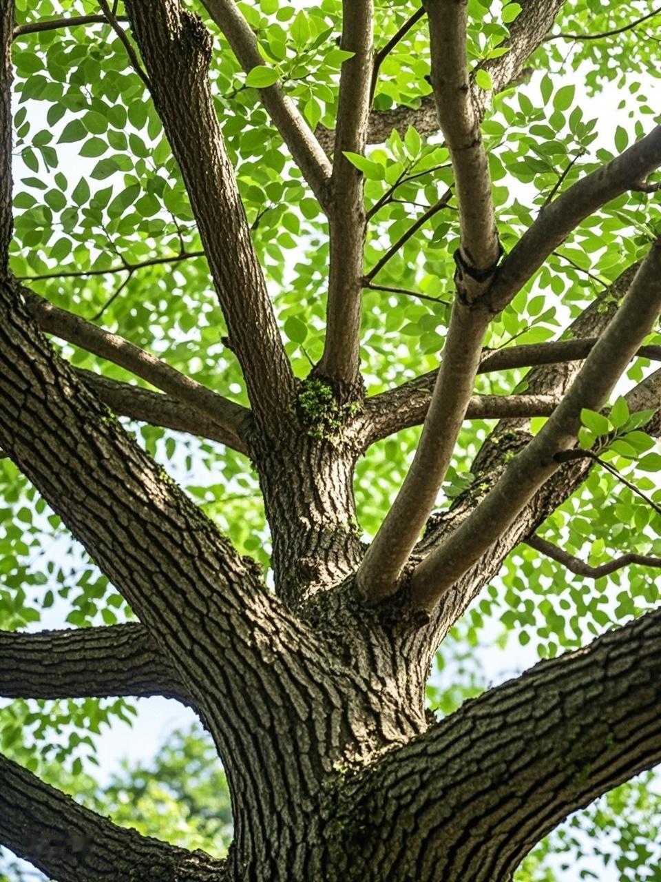 好股票，是棵摇钱树吗？1993年，有人花几千块钱买了一只股票，一放就是三十年