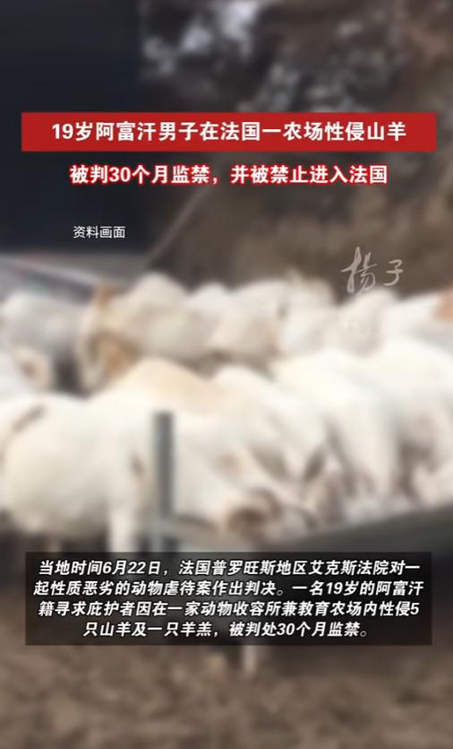 “活久见！”当地时间6月22日，法国普罗旺斯地区，当地法院对一名外籍男子进行了宣