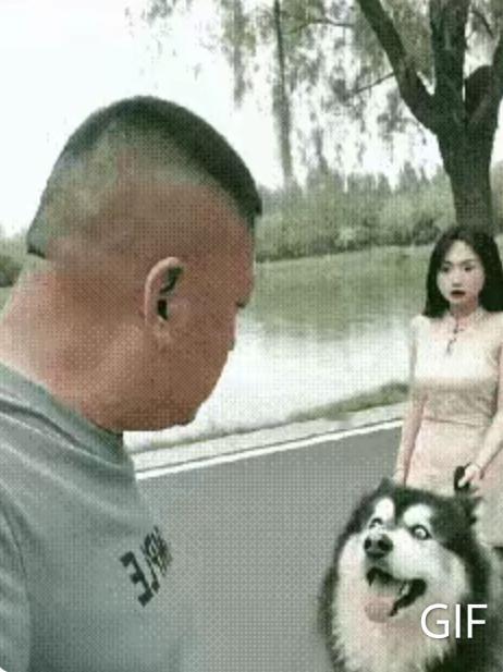 大家快看，这大哥到底过不过分？清早楼下遛弯他手里还拎着根香肠，边走边逛像牵着一根