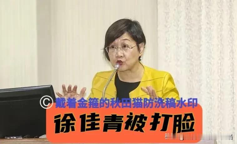 替陈佩琪出气！看电影、吃甜点竟列“机密”？徐佳青26天考察花115万新台币的说