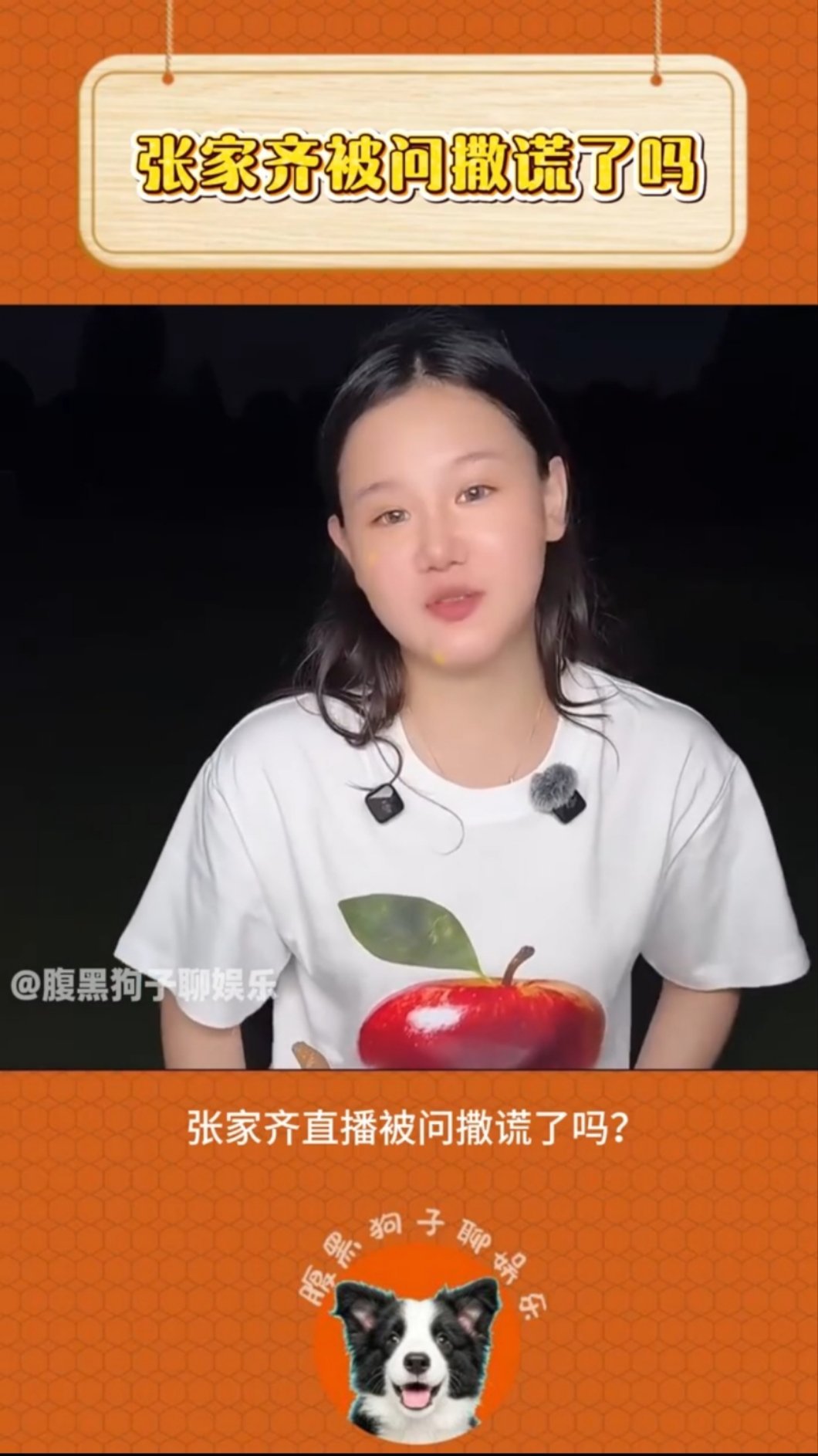 张家齐解释自己撒谎很容易被看出来我家那闺女她连撒谎的成功率都几乎为零，怎么可能