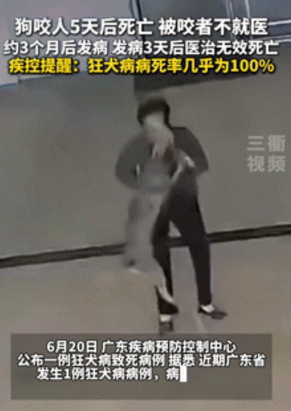 “省钱省出大事了！”广东，市民被狗咬伤后没打疫苗，不料，伤人犬竟在5天后死亡！医