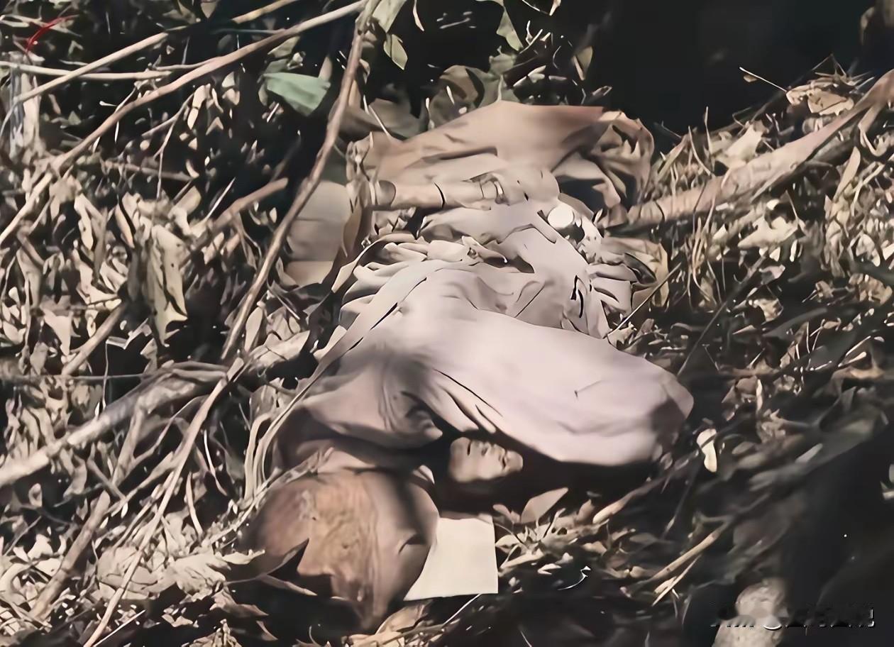 这组由美军摄影师拍摄的照片，深深地震撼了我，也让所有人为之动容。在守卫天德山的战