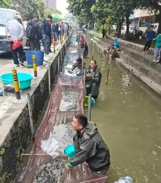 给城管添麻烦不存在的，他们下不来！