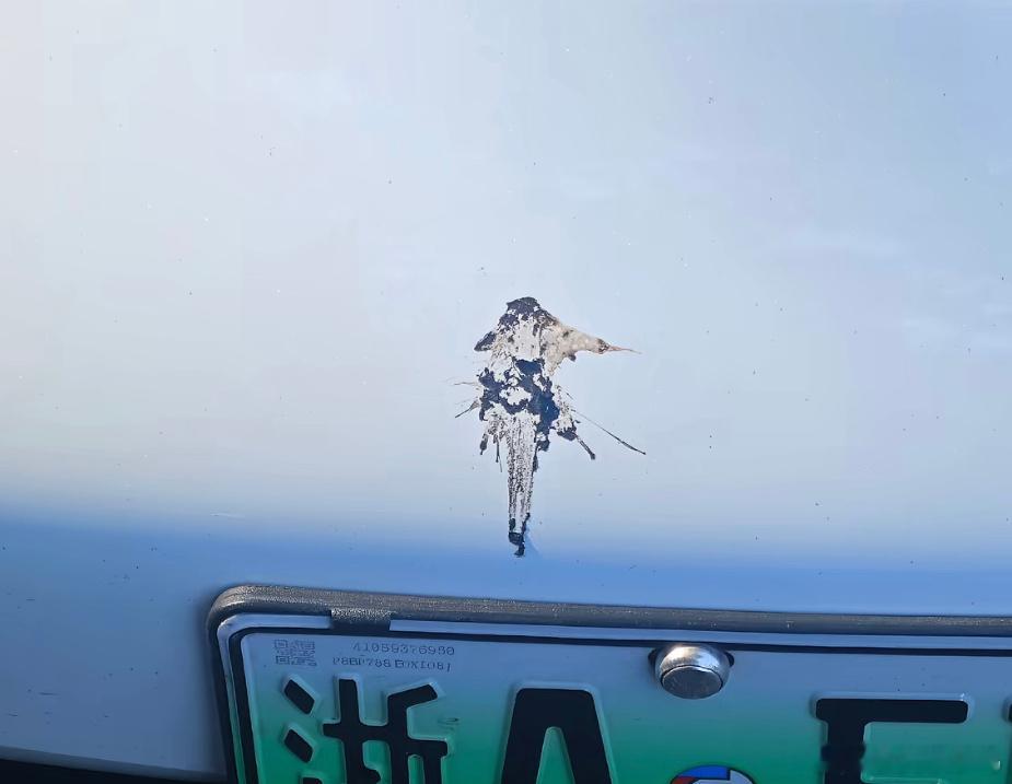 这鸟屎的艺术成分很高啊…