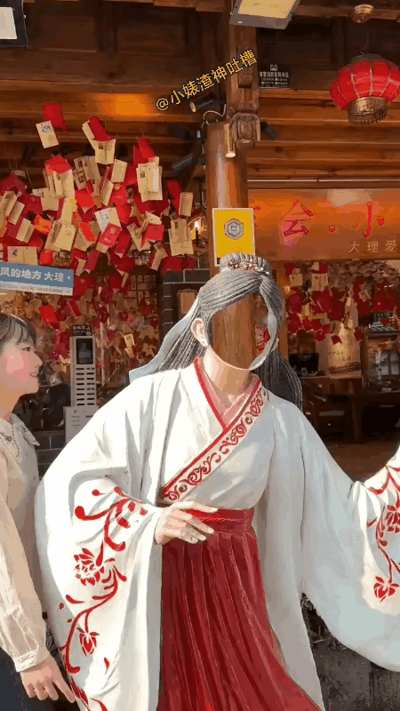 小姐姐把脑袋放进去的那一瞬间真的被震惊到了，这真的是毫无违和感啊