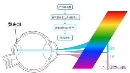 蓝光——眼睛的隐形杀手