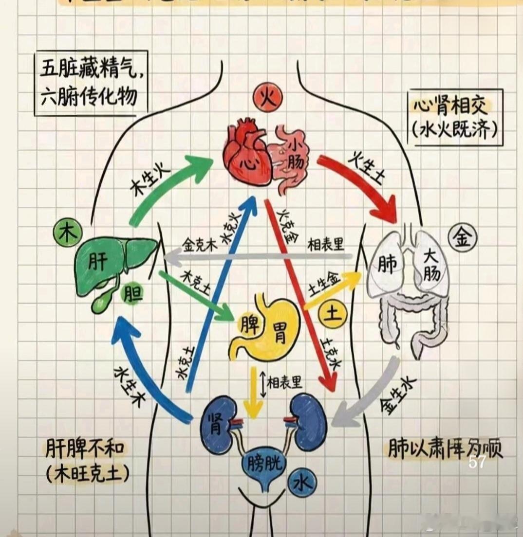 一句开悟：五行的本质是循环，慢的本质是相生，快的本质是相克。虚空的本质是黑，黑（