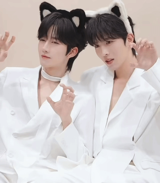 hfp黄星邱鼎杰黄星邱鼎杰新物料两只萌物出动伟大猫猫塑🐈又萌又可爱[