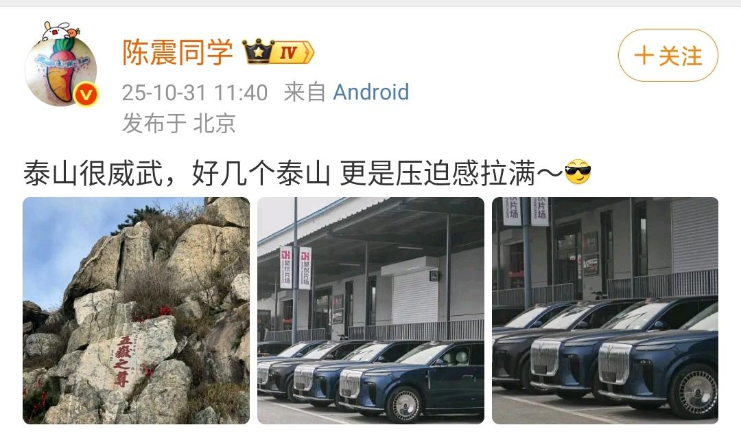 陈震：泰山很威武，好几个泰山更是压迫感拉满～[墨镜]​​​岚图这个新车的名