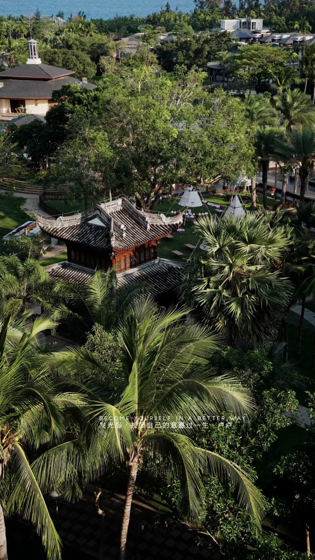 三亚真是一个赚钱磁场很高的地方啊