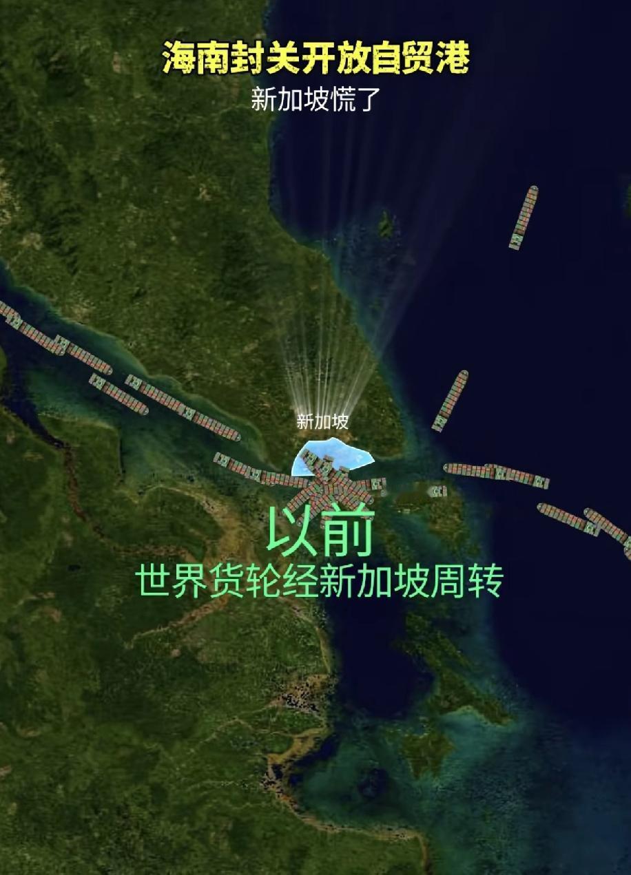 新加坡和洋浦港现在的关系就像高速路上的服务区，一个位置好，另外一个有红包拿，司机