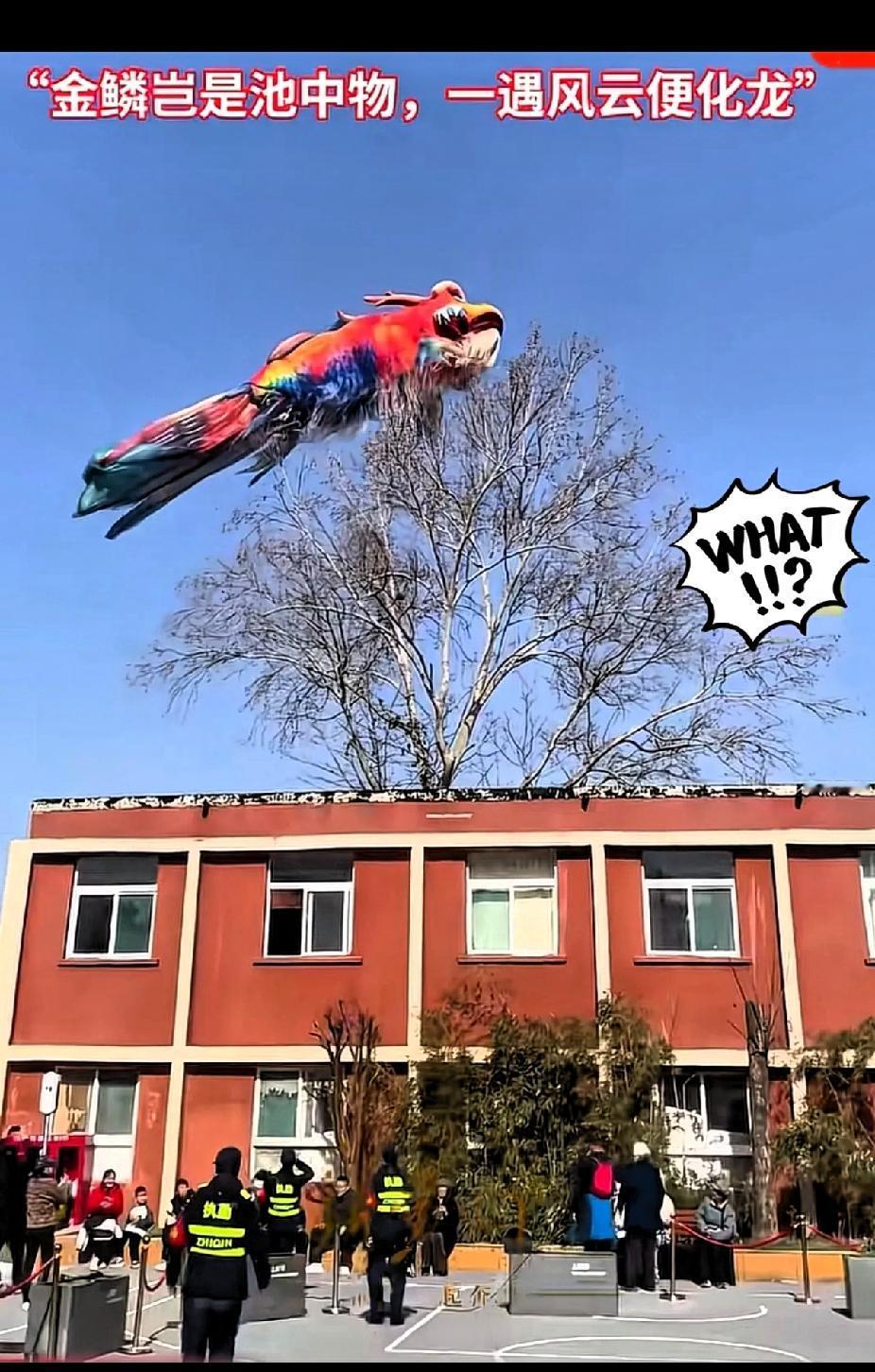 “这破班，它是一天都不想上了”！山东济南，一条21米长的气膜鳌鱼，挣脱束缚飞走