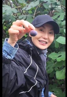 今天看到女神张曼玉晒出的休闲退休生活，刚刚网传她要参加今年的浪姐，她就开始晒日常