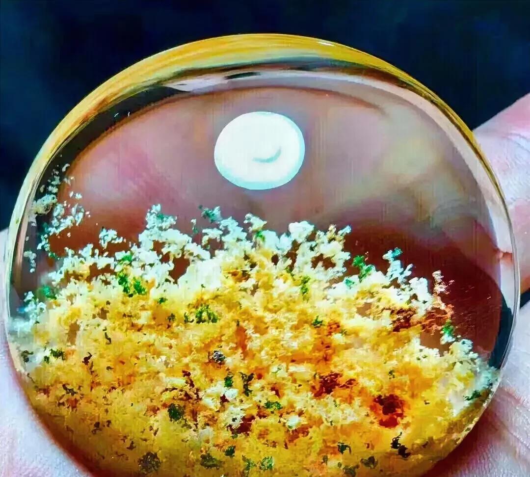 某企业招聘两名电工，我同学老王便想让去年大专电器自动化专业毕业的儿子去应聘。她