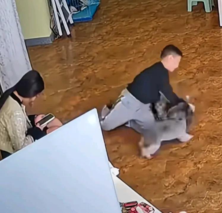 孩子被狗撕咬，连声惨叫，女子一旁玩手机，全程无动于衷，这是姐姐还是妈妈，