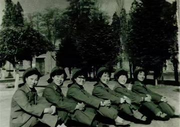 “别过去，它在骗你！”1978年，内蒙古一女军医遇到一匹冲她哀嚎的狼，她扔了一个