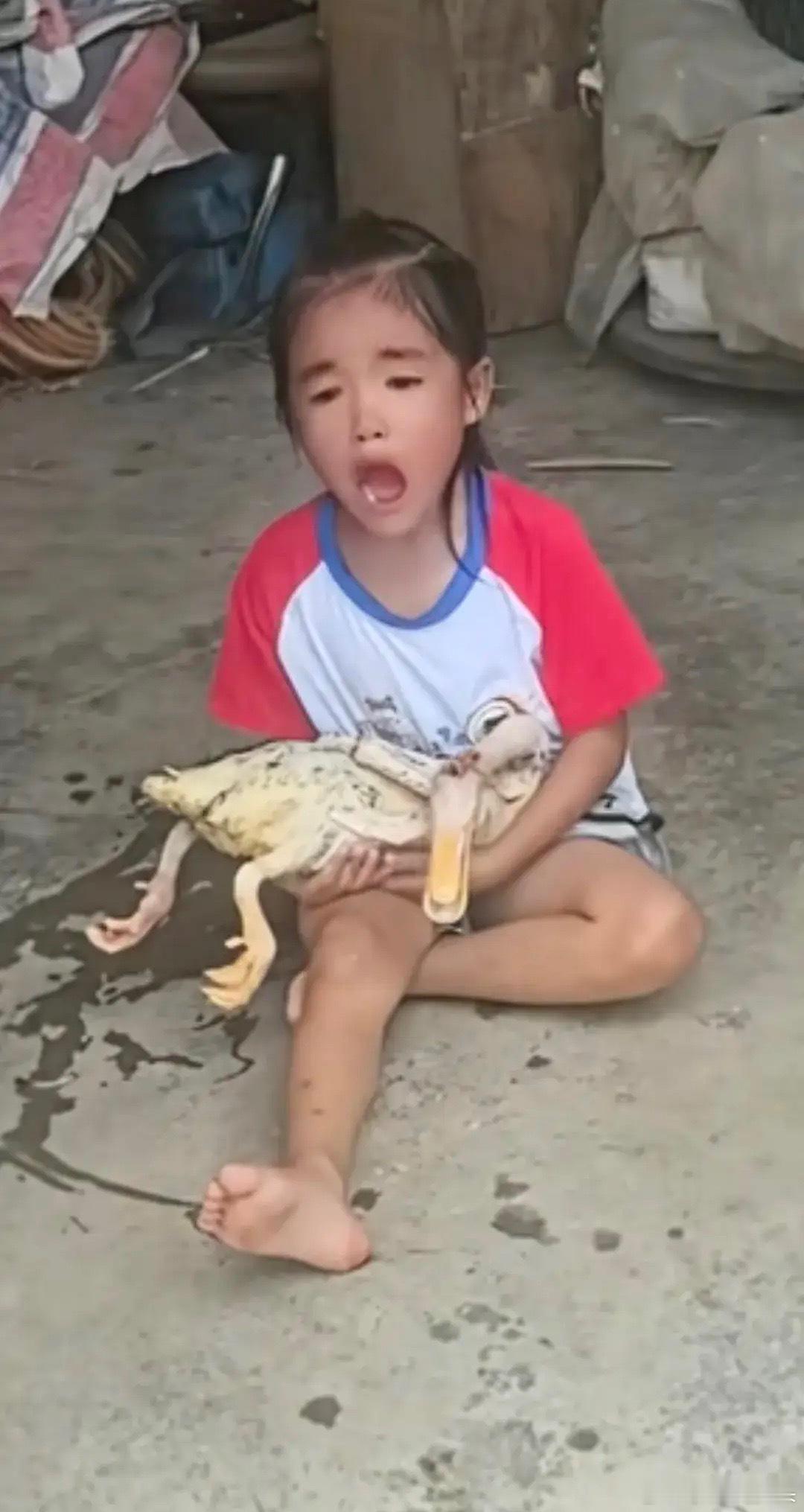 伤心，爸爸偷偷把女儿的玩伴，鸭子给杀了，女儿得知后，气得崩溃抱着鸭子大哭，说把鸭