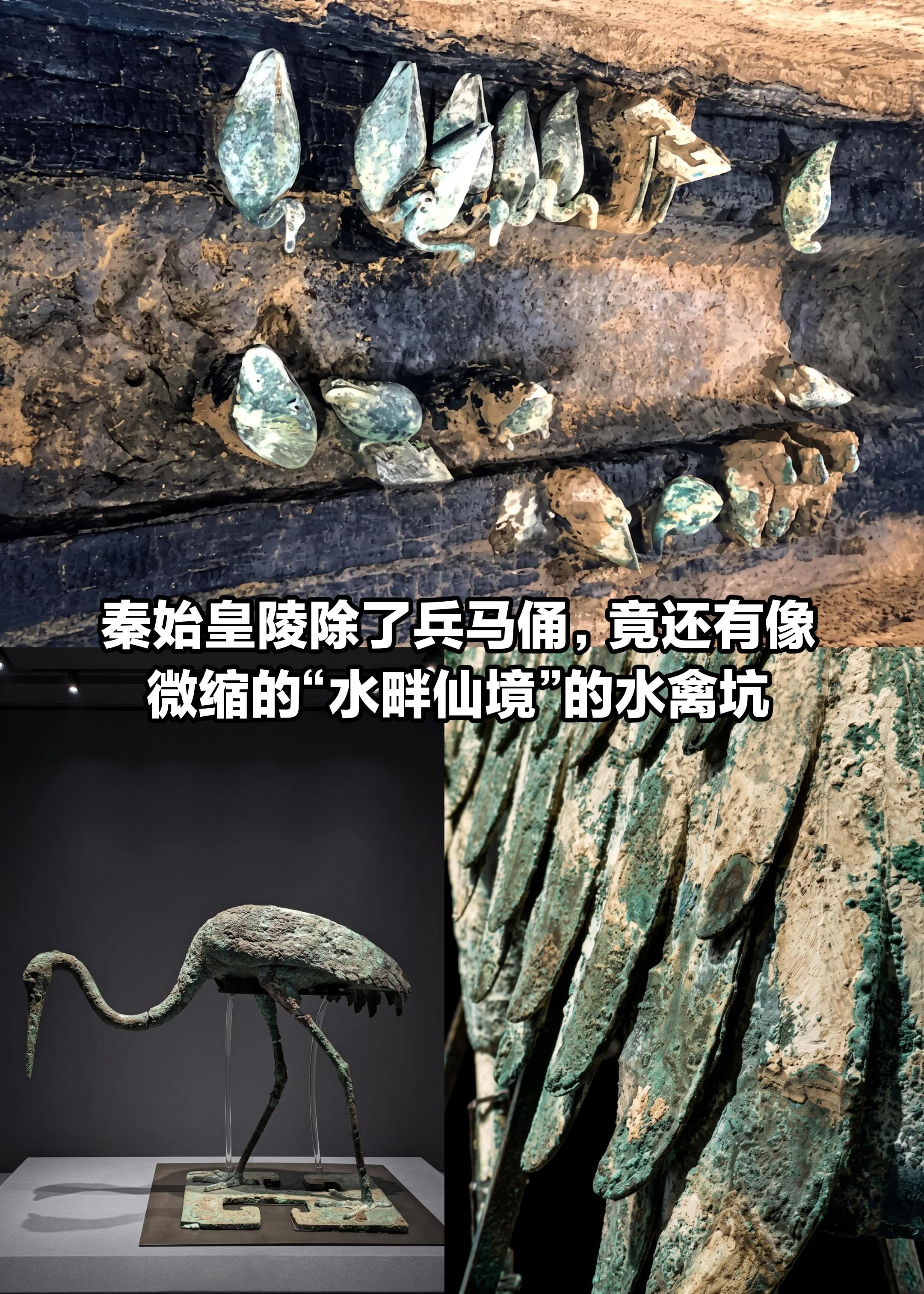 秦始皇陵竟还有像微缩“水畔仙境”的水禽坑。