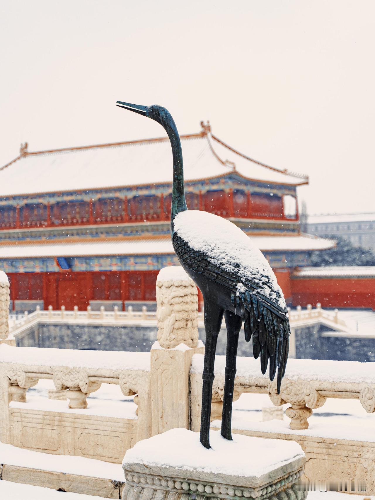 北京落雪，梦回北平崇祯五年湖心亭的雪，终于又落在了北京城！一夜间，现代