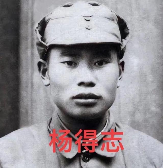 1939年，正在清点战利品的八路军缴获一门木头做的假炮，刚想要烧了，旁边的杨得志