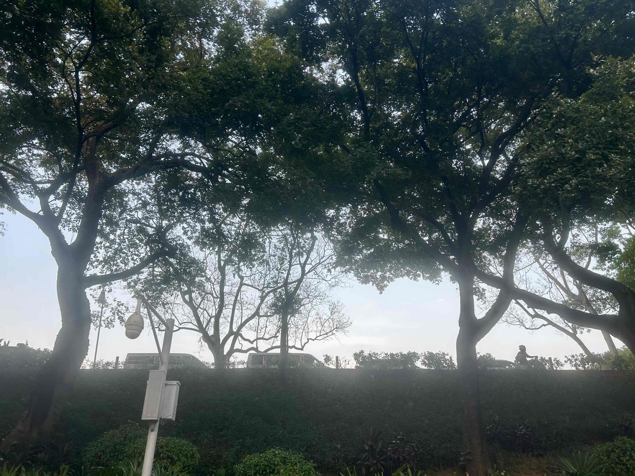 藏在越秀的麓湖，白云山南麓的一方碧水是1958年万千市民亲手筑就的人工湖，前身曾