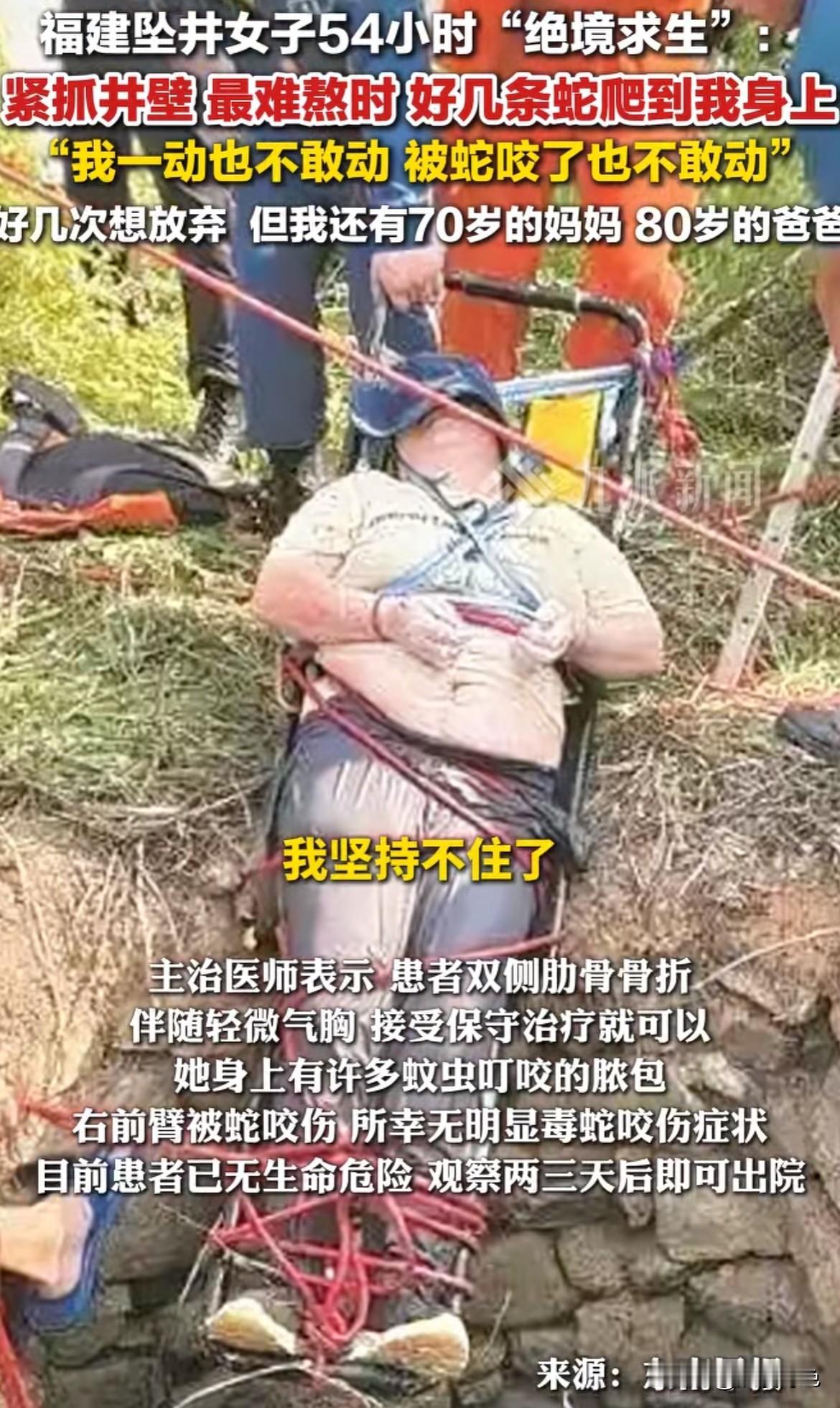 是什么让她在蛇群环绕中不敢动却绝不放弃？9月13日，福建一覃女士在树林散步时