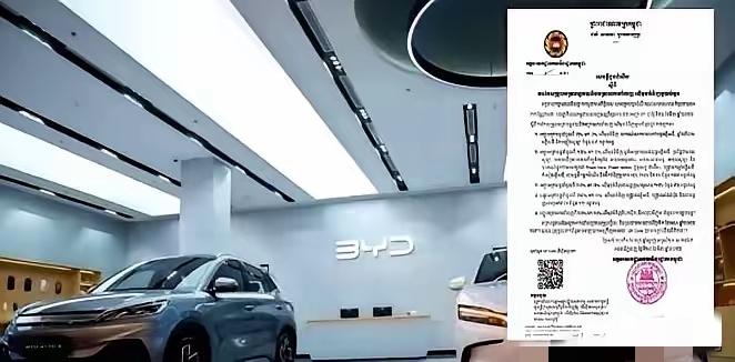 今天，东南亚突然掀牌。柬埔寨从4月1日起，把面向中国的纯电车、充电桩、太阳能整套