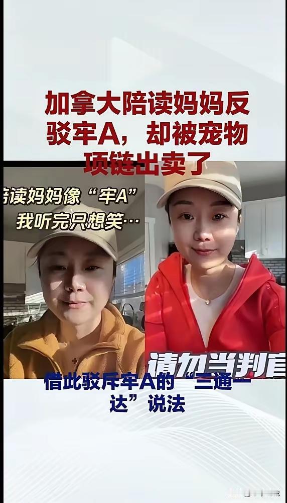 自从牢A的爆出国外陪读妈妈的一些状况，大家对国外陪读妈妈多多少少有些不一样的看法