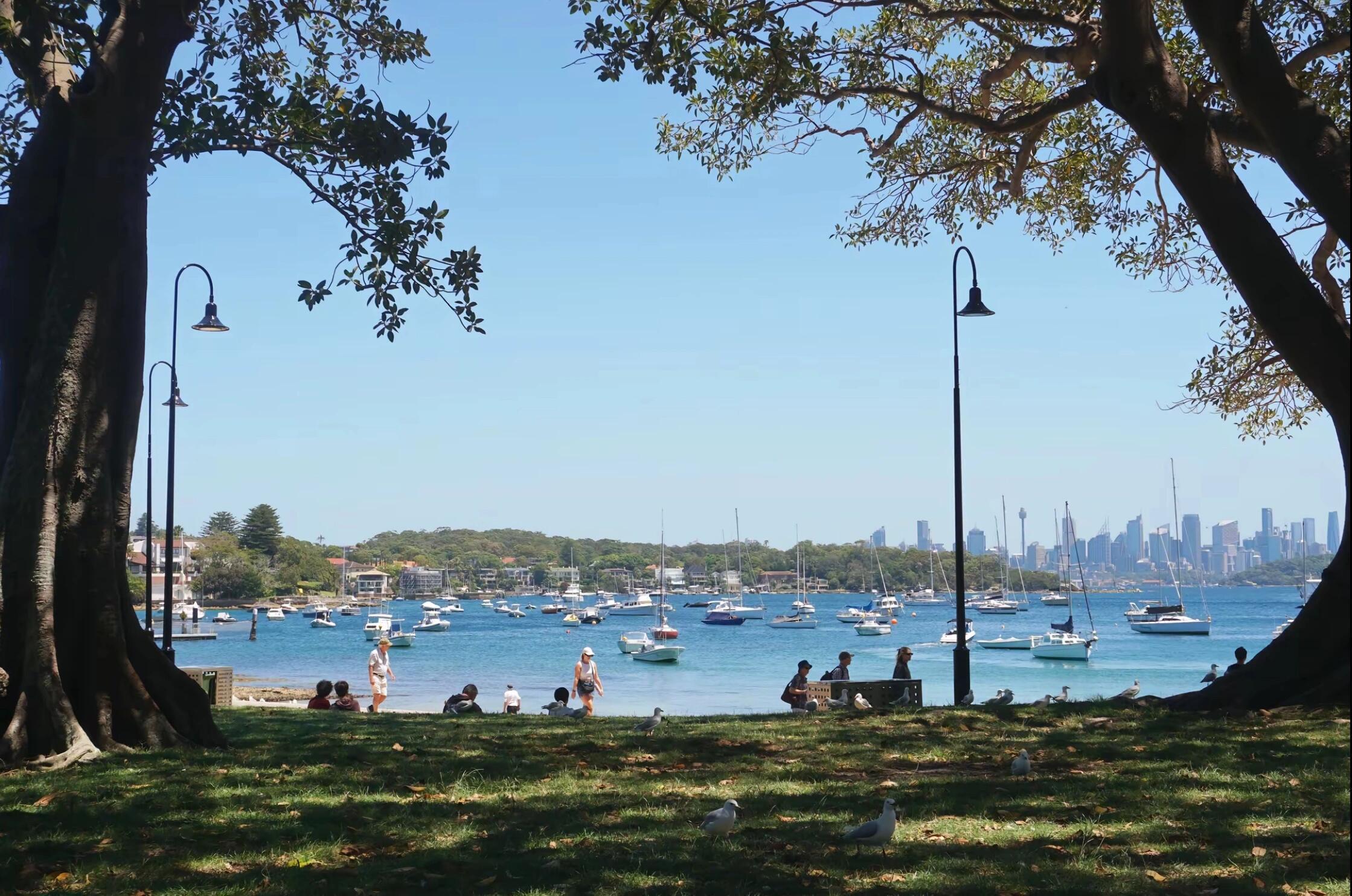 平板壁纸｜风景壁纸｜总有人懂你的审美｜郁金香｜鲜花壁纸｜森系壁纸｜大自然壁纸