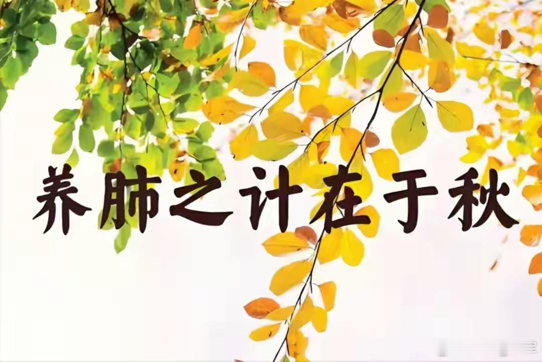 气足不生病，气虚易感邪，送你一碗补肺汤，黄芪巧搭配加倍补肺气人活一口气，气足则
