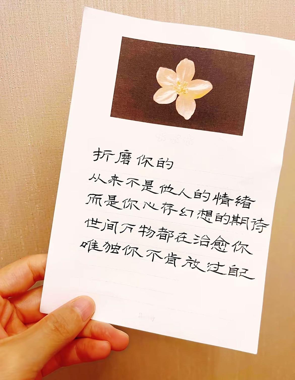 很喜欢作家三毛说过的一段话折磨你的，从来不是任何人的情绪，而是你心存幻想的