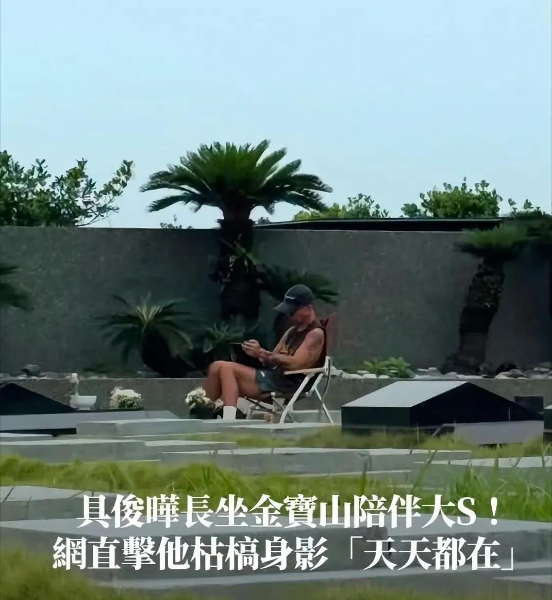 真是讽刺啊，大s故去之后，一个另娶她人照样卖酸辣粉，一个天天守着陵墓晒得黢黑