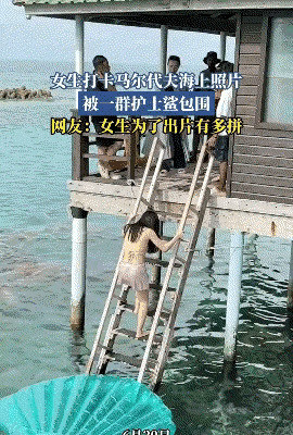 ??手指扎破，血能引开鲨鱼？---